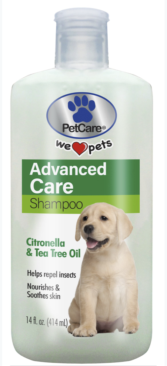 Pet Advanced Care Shampoo | Rejoice International